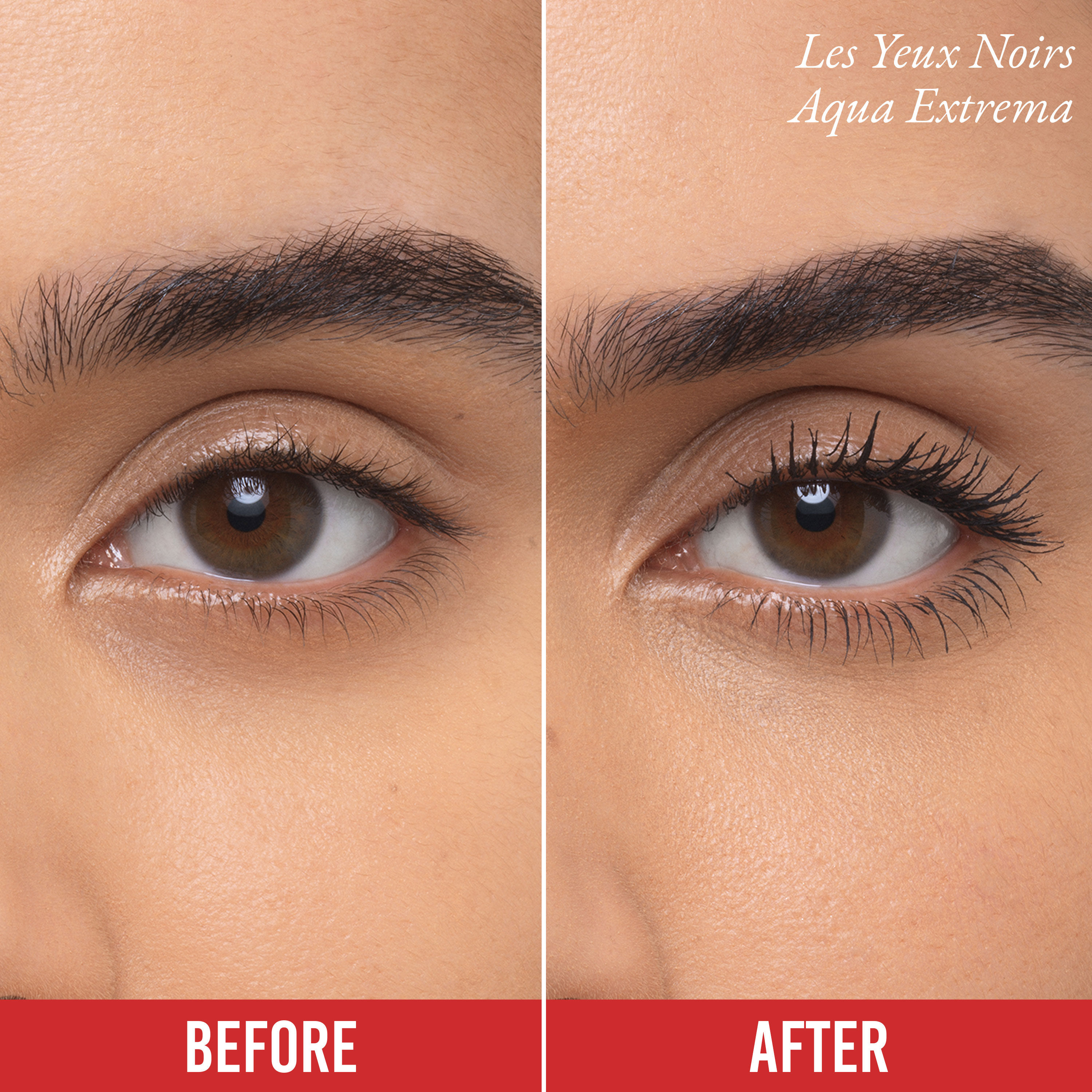 Les Yeux Noirs Aqua Extrema image number 5