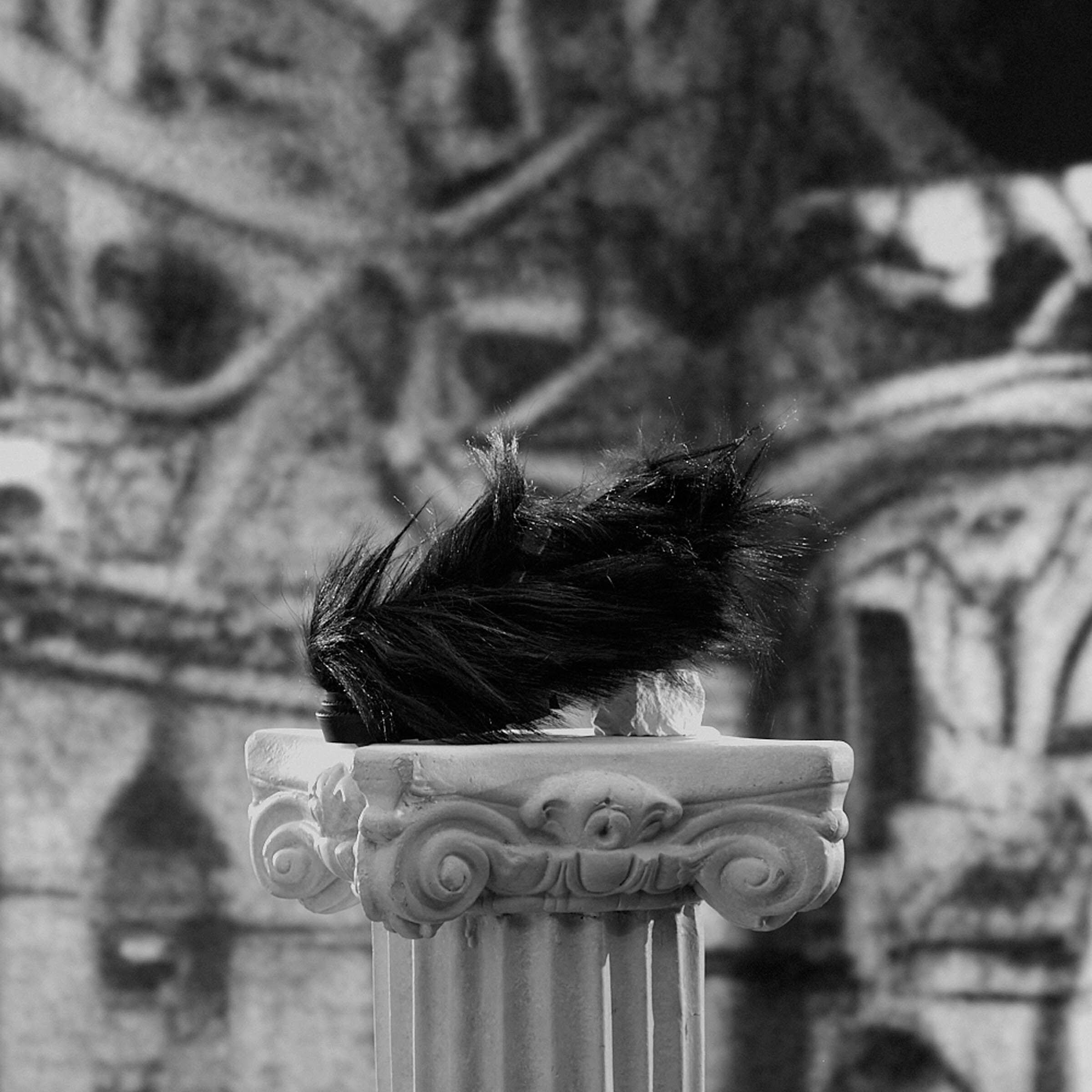 The Ball Shoe image number 8