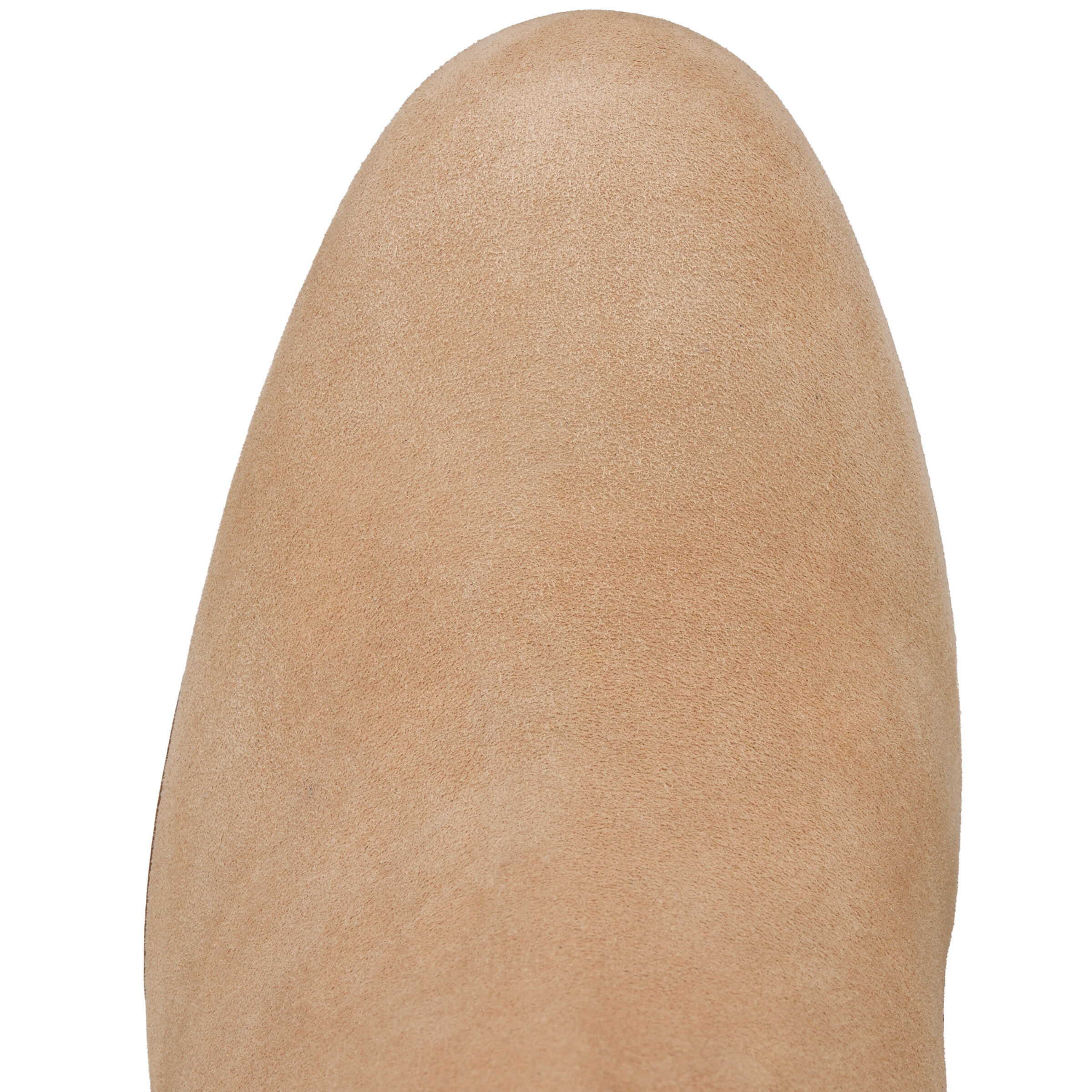 Turela image number 5