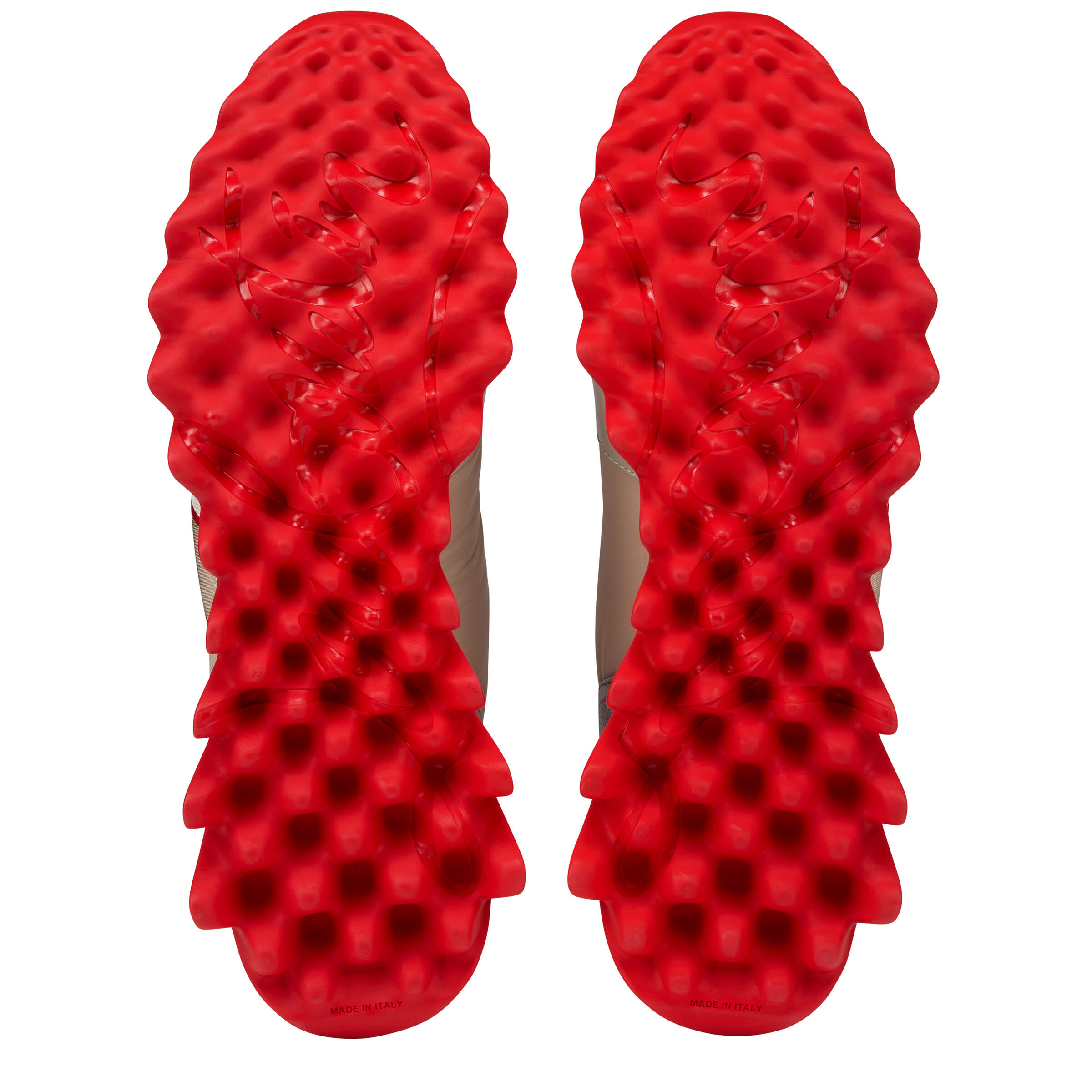 Nastroshark image number 5