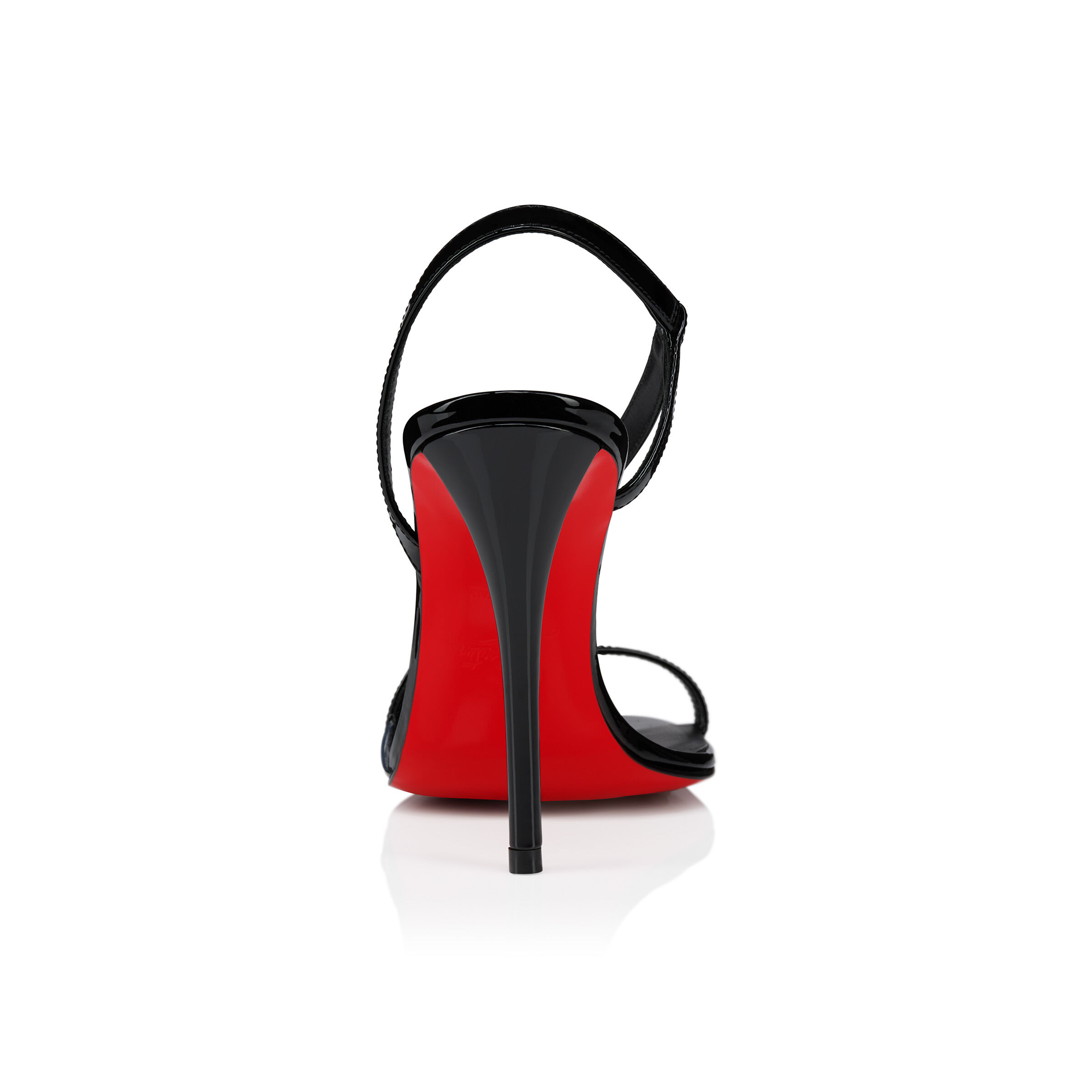 Rosa Z  image number 4