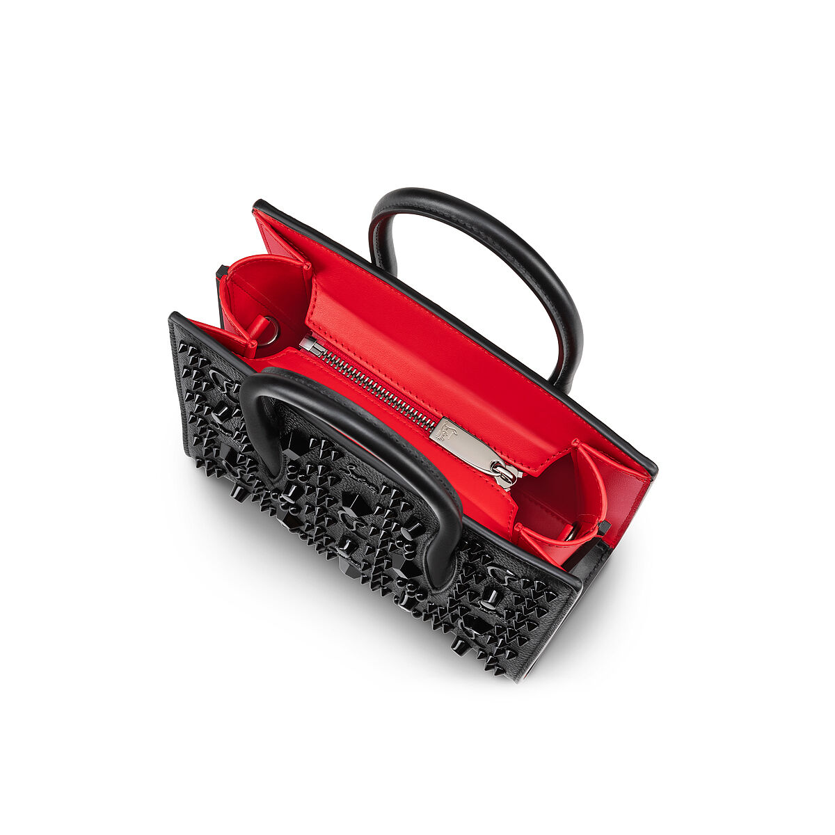 Paloma image number 5