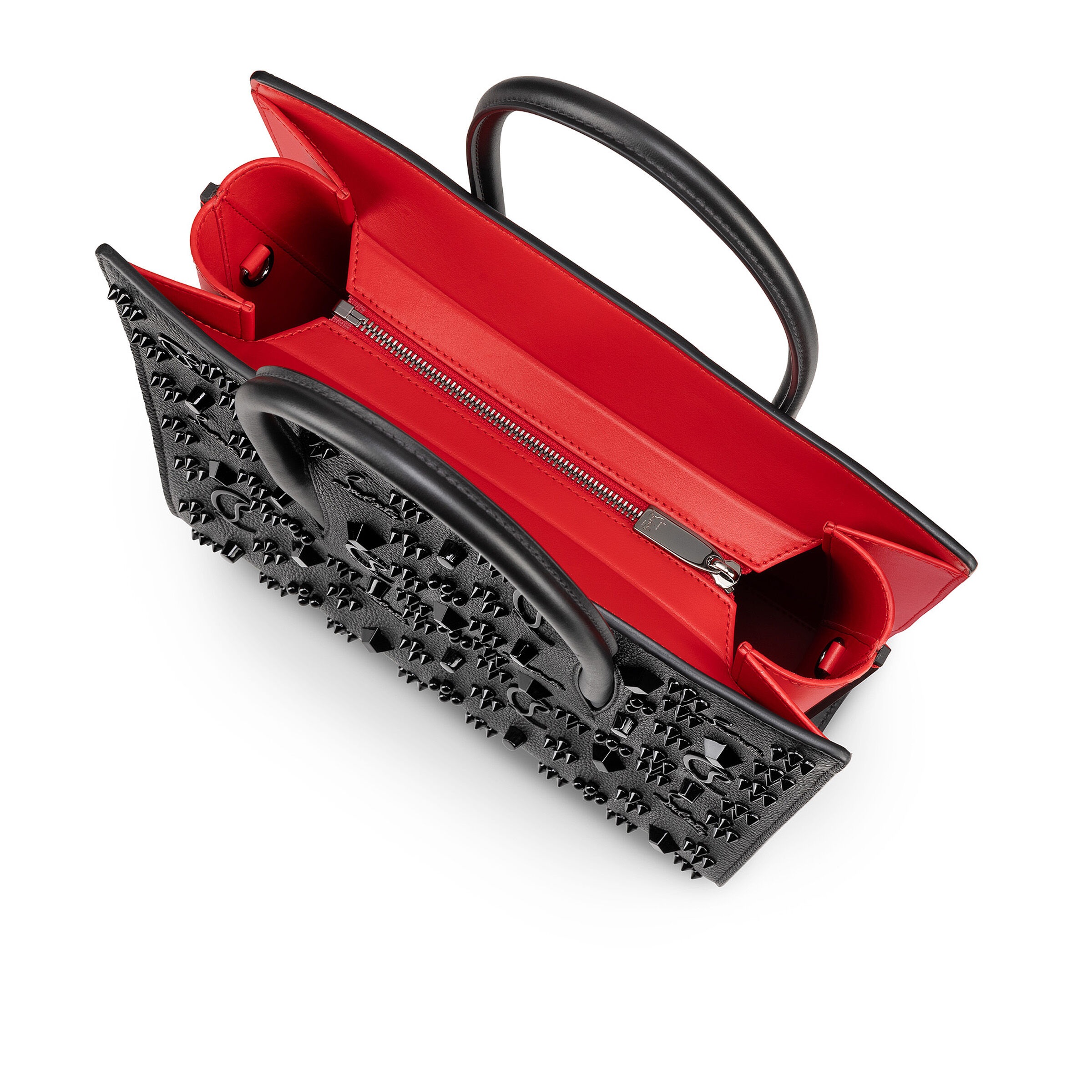 Paloma image number 5