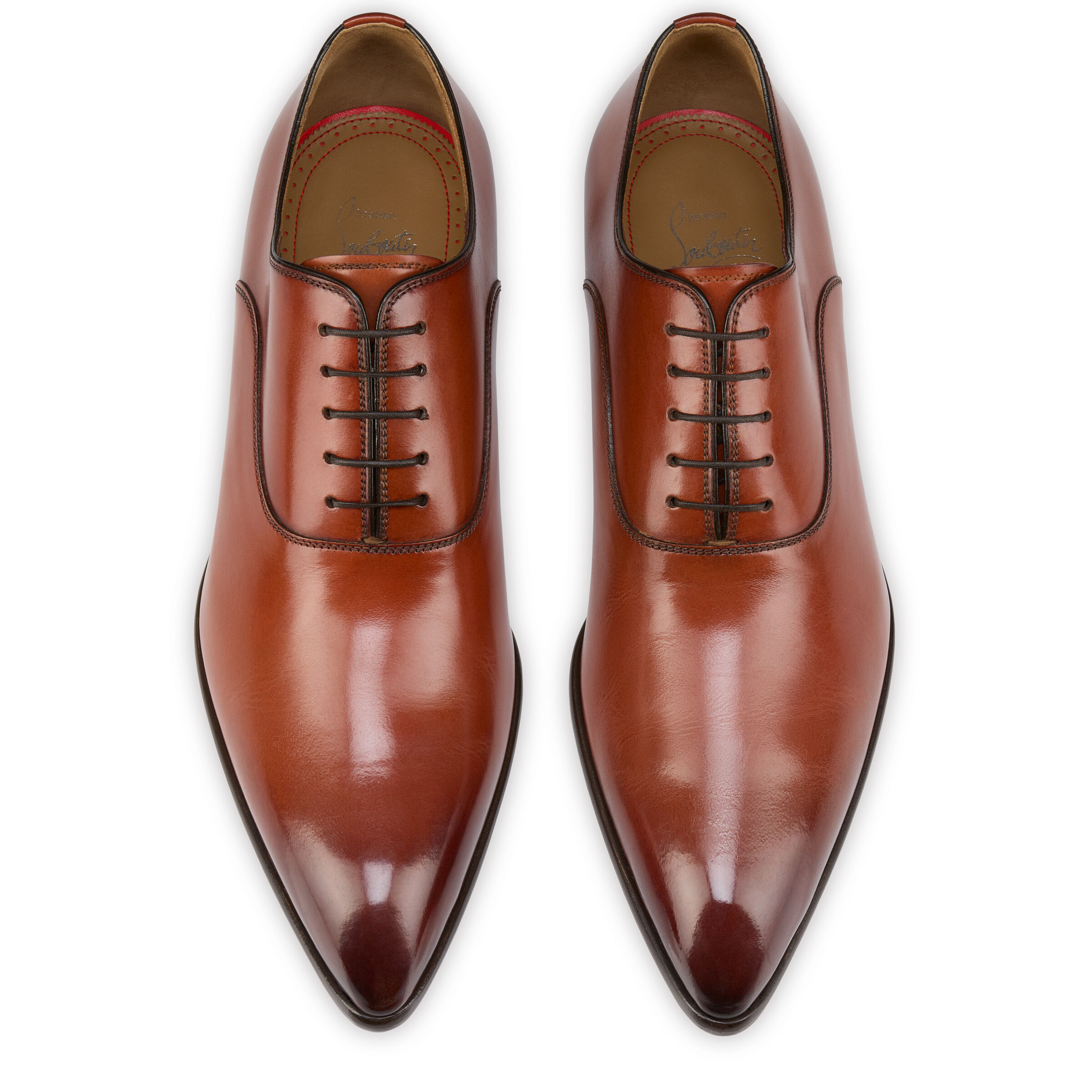 Pelvis image number 5