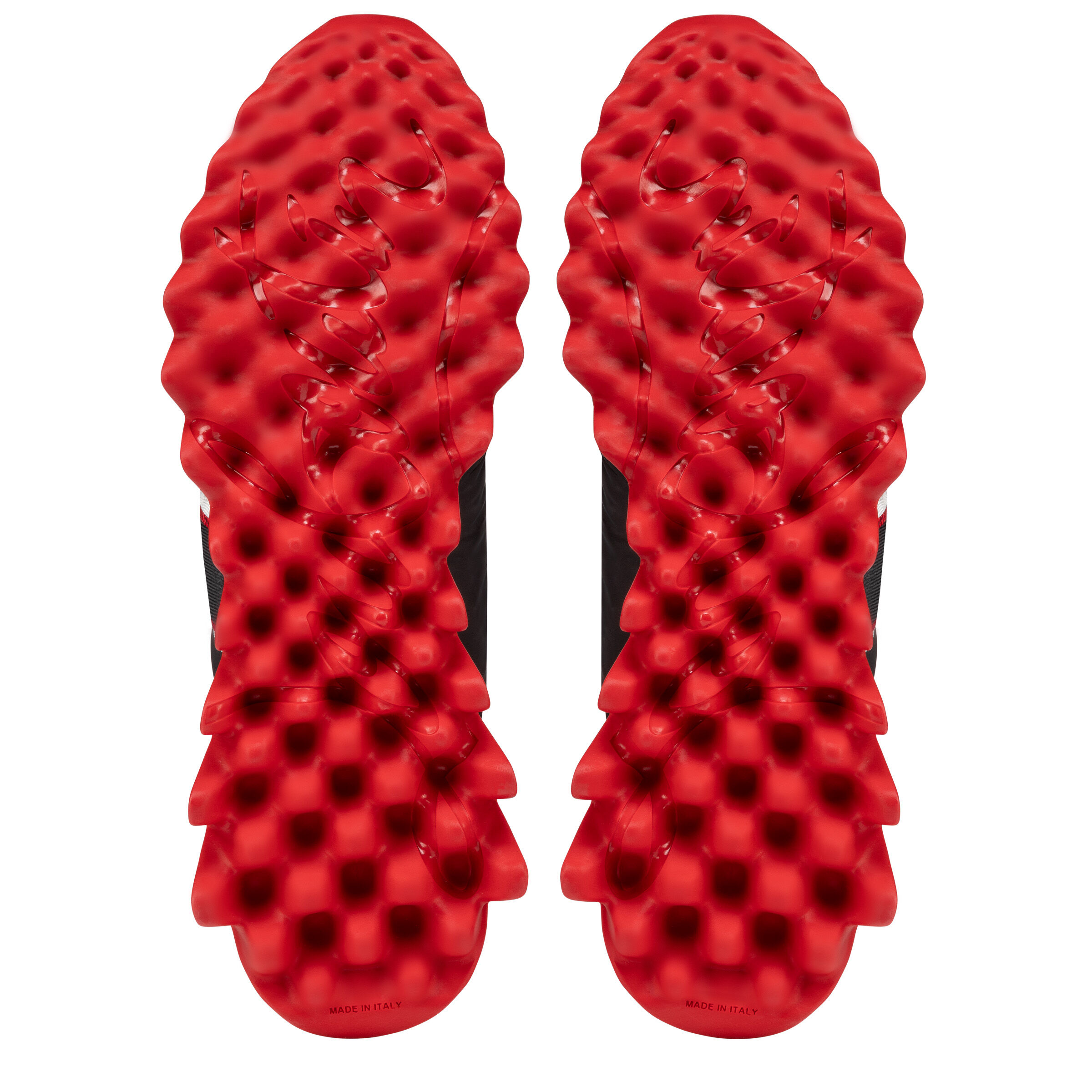 Nastroshark image number 5