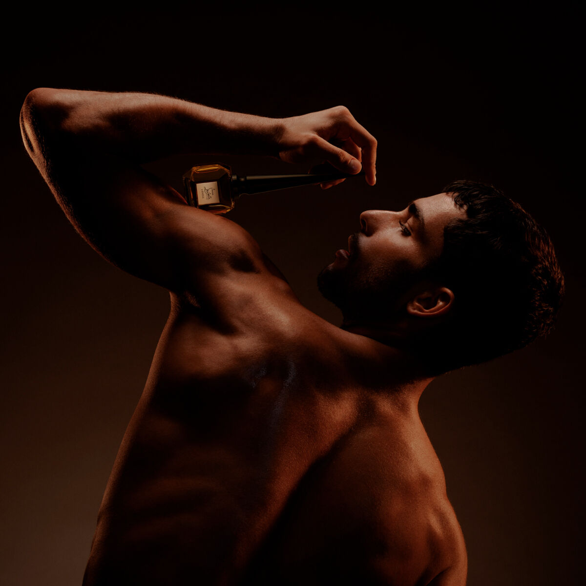 F&eacute;tiche L&rsquo;&Eacute;b&egrave;ne image number 5