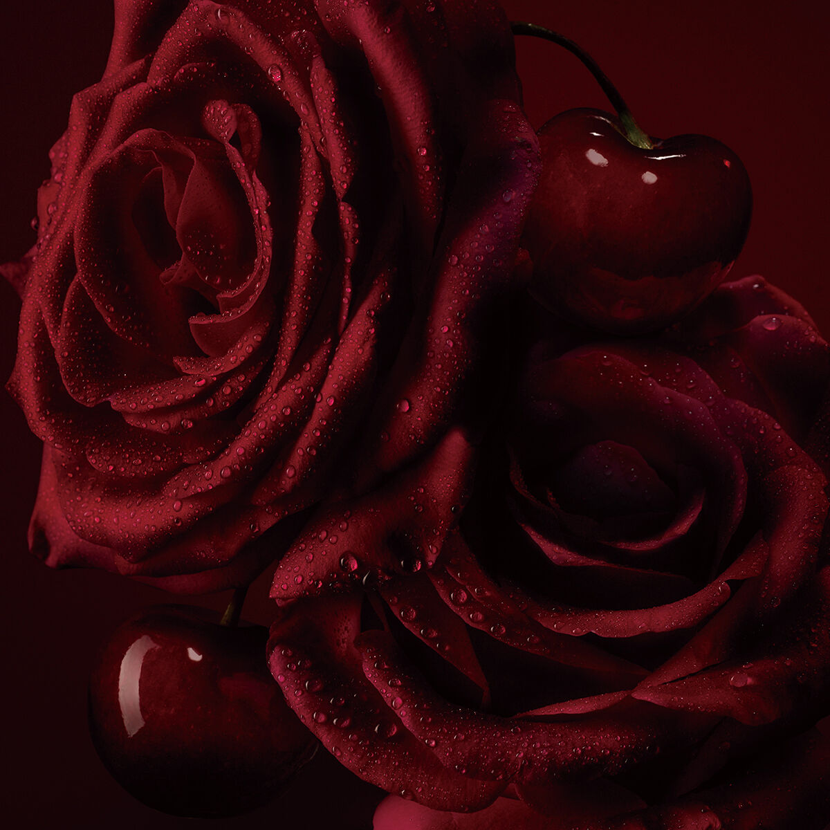 F&eacute;tiche La Rose image number 3